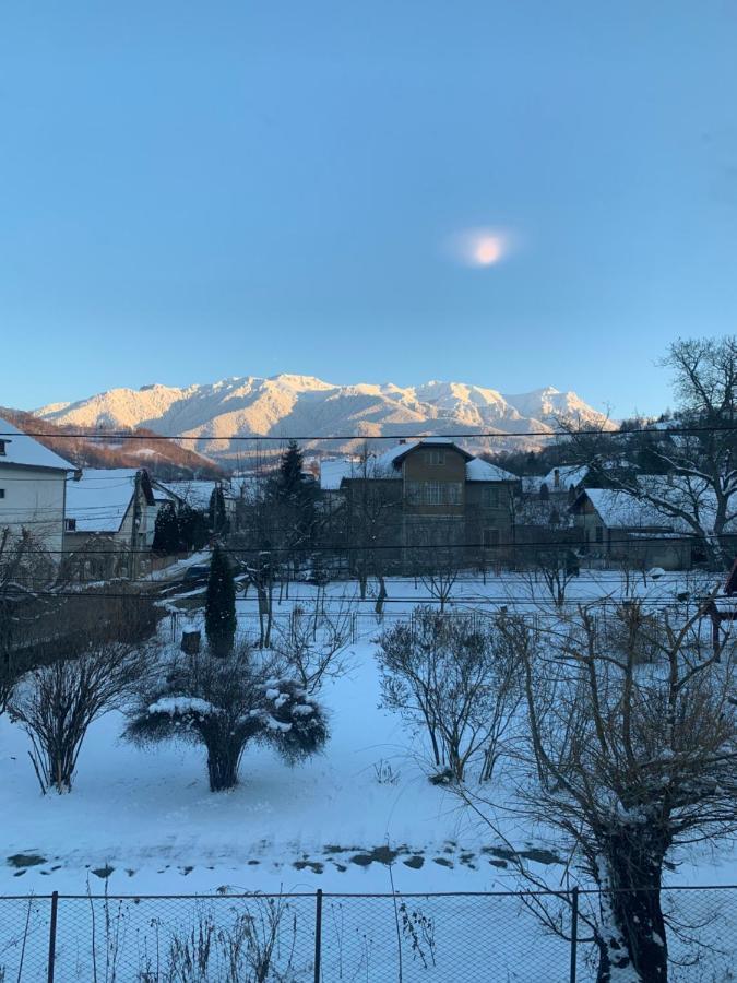 Vila Codreanu Бран Экстерьер фото