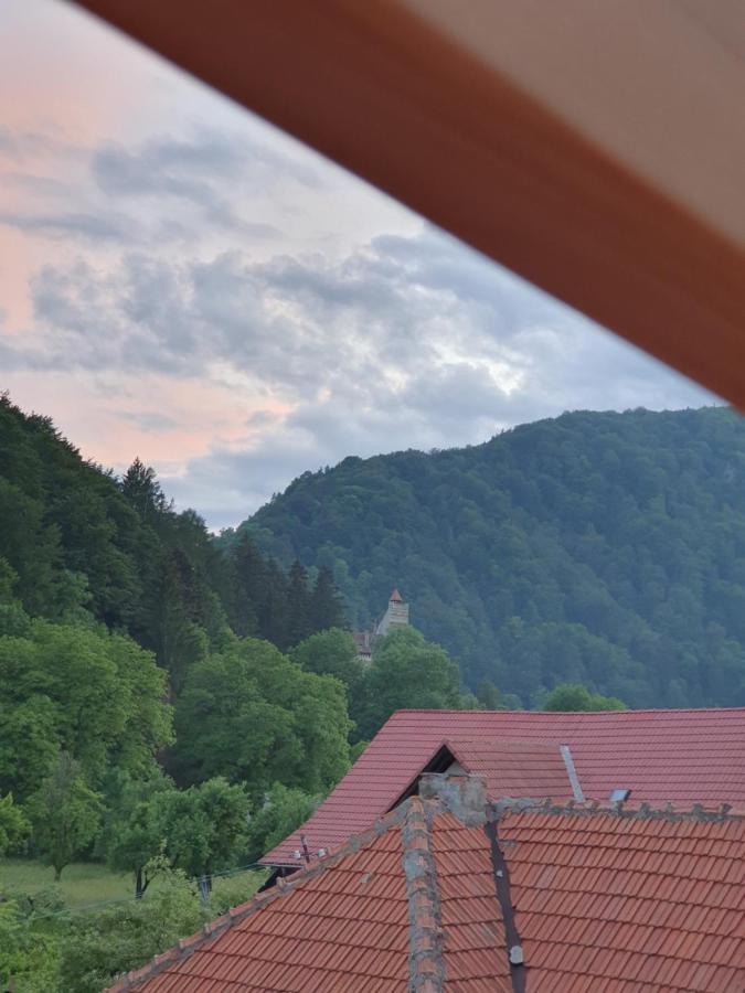 Vila Codreanu Бран Экстерьер фото