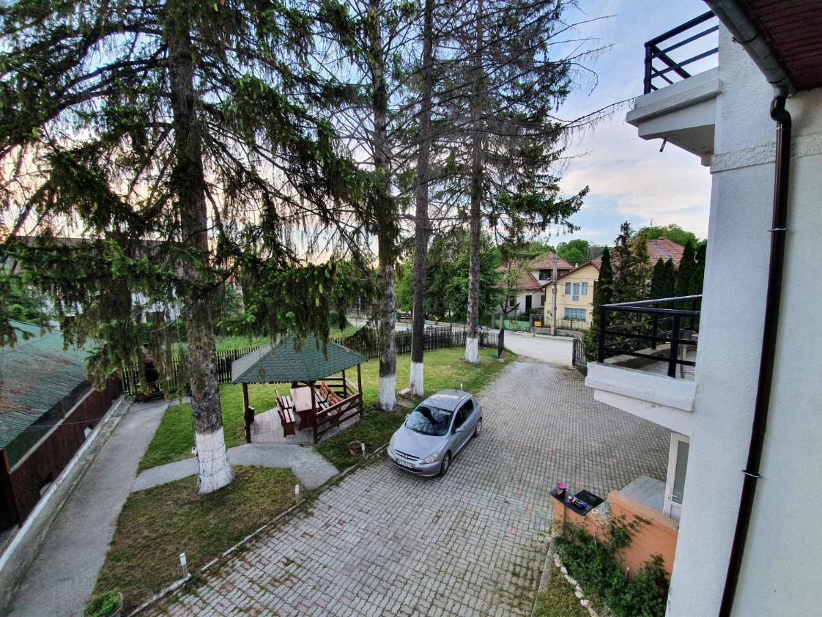Vila Codreanu Бран Экстерьер фото